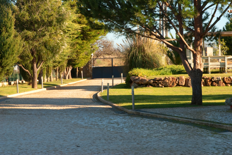 Villa Beja l Luxury family villa